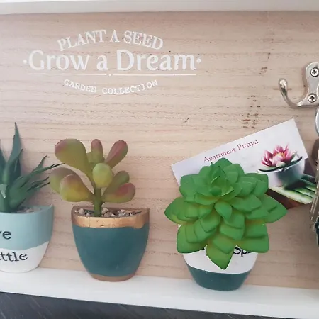 Apartment Pitaya *