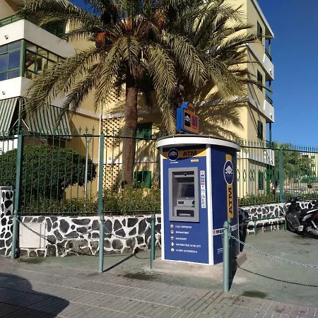 Pitaya דירה
